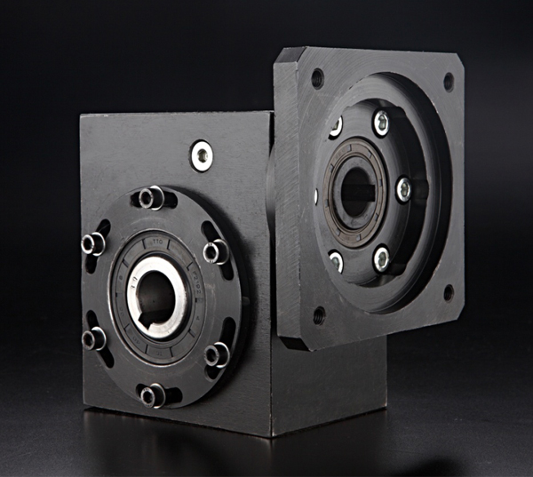 Dual Lead Worm Gears(Duplex Worm Gears)